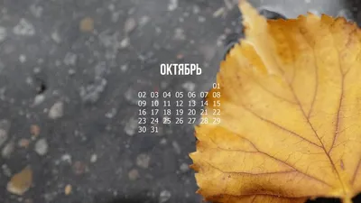 Осенние обои на рабочий стол: октябрь | Иллюстратор Евсеева Юлия