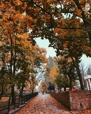 Осень, октябрь | Осень, Природа, Октябрь
