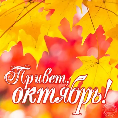 Бесплатное изображение: Октябрь, осенний сезон, желтоватый, прут, желтовато  коричневый, Желтые листья, дерево, желтый, лист, осень