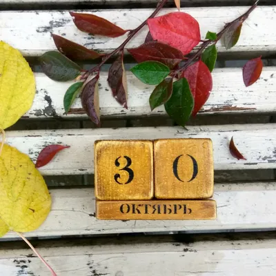 Октябрь в Подмосковье: бабье лето будет накатывать на жителей в три волны
