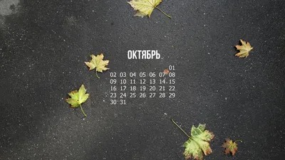 Октябрь 2023 года стал самым тёплым в истории наблюдений – Газета.uz