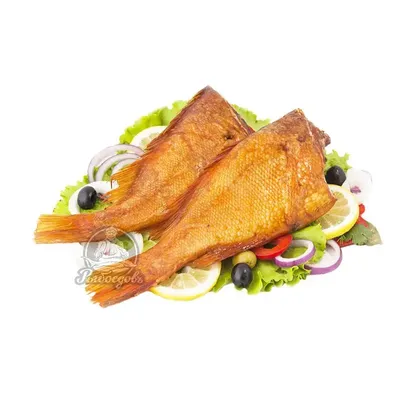 Морской окунь (Sebastes marinus) - sharkseafoods.com