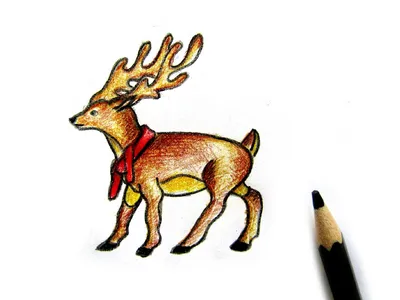 Красивые рисунки оленя карандашом (34 фото) • Прикольные картинки и юмор |  Рисунки, Рисовать, Олень