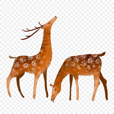 Рисунок, нарисованный вручную Дикие животные с рогами, рисующими в плоском  мультфильме Красивые олени с текстурированным томом Иллюстрация штока -  иллюстрации насчитывающей сторона, пыжик: 161971965