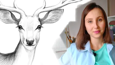 Как нарисовать оленя: 29 способов для вообще не художников - Лайфхакер