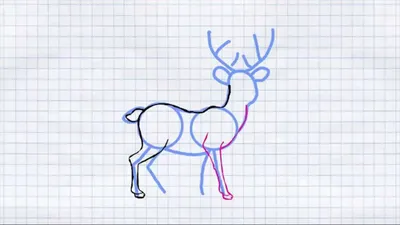 Как нарисовать оленя (52 фото) » Идеи поделок и аппликаций своими руками -  Папикпро.КОМ