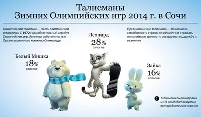 В Сочи началась церемония открытия Олимпиады-2014 | Forbes.ru