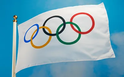Зимние Олимпийские игры 2022 — Википедия