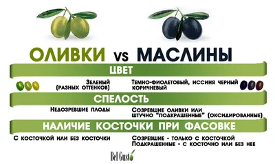 Греческие оливки и маслины - Гастрономический ресторан Москва