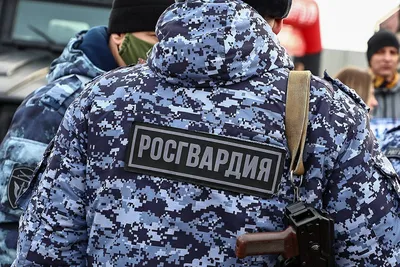 Офицер ОМОН раскрыл подробности обезвреживания бомбы в метро Петербурга |  ИА Красная Весна