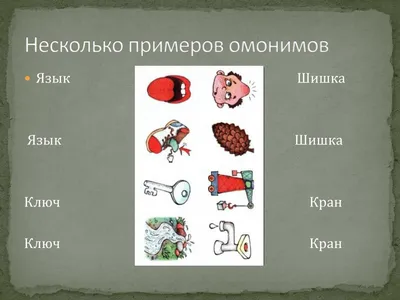 Проверочная работа по теме «Слова-омонимы», Русский язык, 2 класс