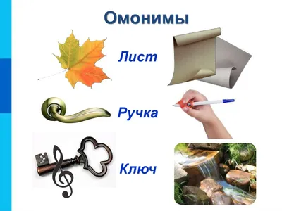 Что такое слова омонимы в русском языке? Правила и примеры