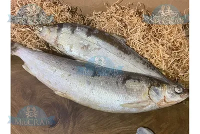 Омуль вяленый | Вобла - Интернет-магазин вяленой рыбы
