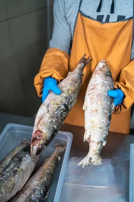 🐟 Омуль сибирский холодного копчения 1кг - купить с доставкой в СПб |  Питер-Корюшка - интернет магазин