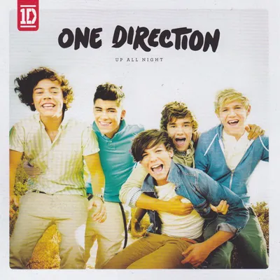 Мужское худи One Direction (One Direction) за 2299 ₽ на заказ с принтом  надписью купить в Print Bar (OND-950584) ✌