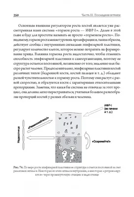 Книжные проекты Дмитрия Зимина - Онтогенез. От клетки до человека