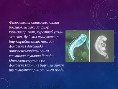 Биология 10 класс (Урок№11 - Онтогенез. Эмбриональное развитие организма.)  - YouTube