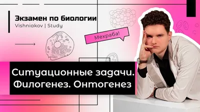 Timosha Жестовые Символы согласных поздний онтогенез