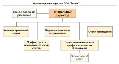 Пошаговая регистрация ООО в Беларуси в 2024 году