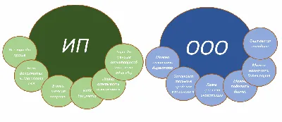 ИП или ООО или НПД? Что лучше? Таблица отличий