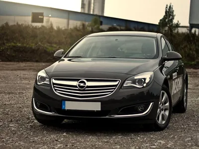 Opel Insignia (1G). Отзывы владельцев с фото — DRIVE2.RU