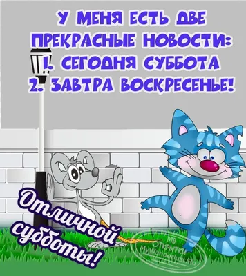 Окончена работа опять пришла суббота картинки прикольные (46 фото) »  Красивые картинки, поздравления и пожелания - Lubok.club