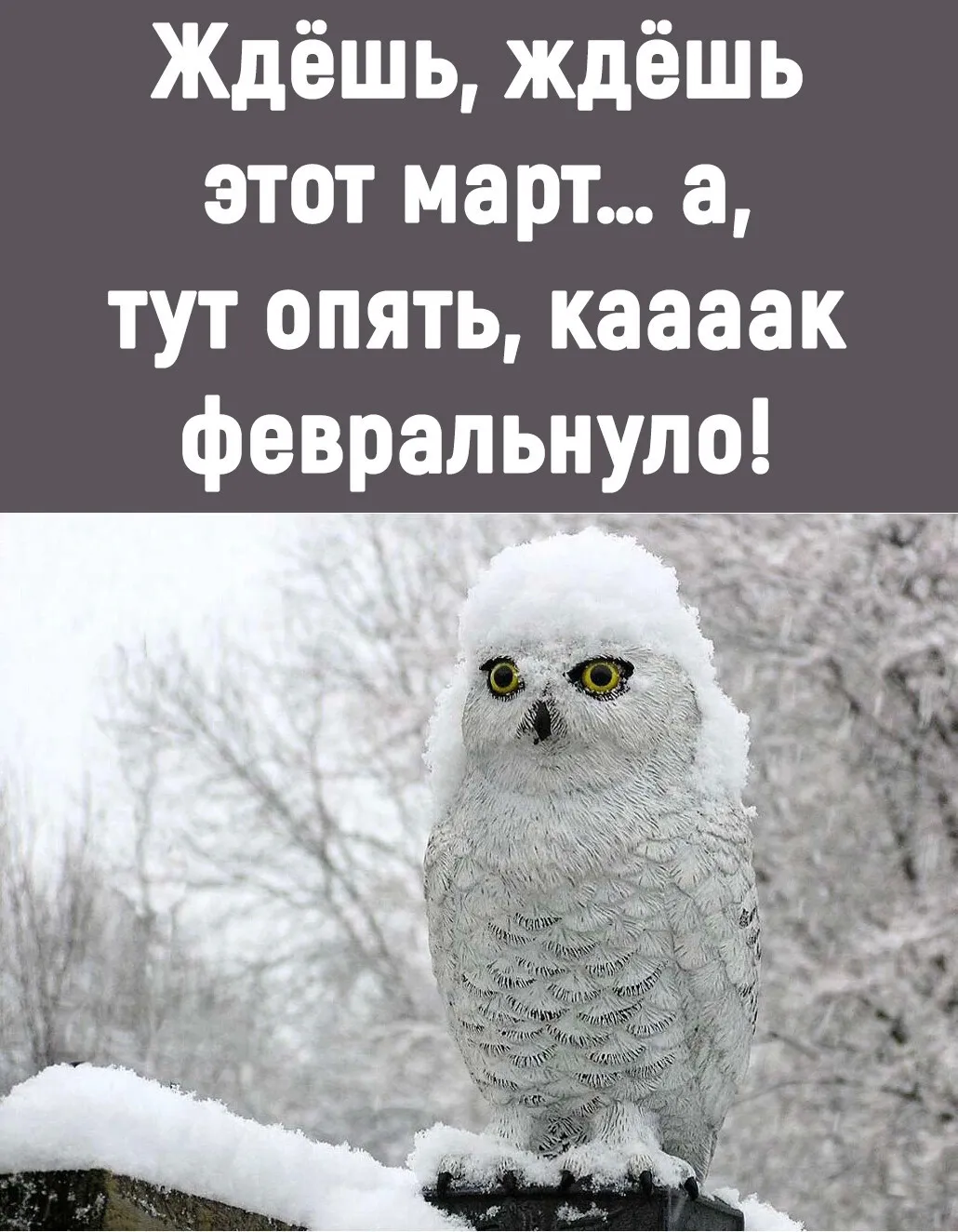 Опять снег картинки