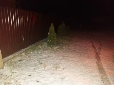 Опять снег и ветер: татарстанцев предупреждают о резком ухудшении погоды |  События | ОБЩЕСТВО | АиФ Казань