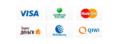 Система платежных сервисов SberPay - бесконтактная оплата покупок онлайн и  в магазинах
