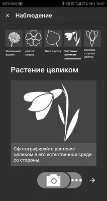 Как определить шрифт по фото - dsgners.ru