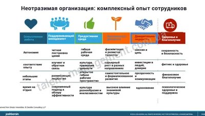 Где взять опыт работы если без него не берут: советы