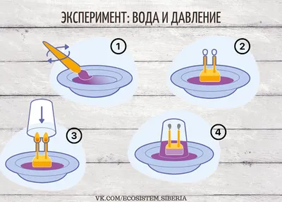 Эксперименты с водой вместе с детьми】 - цены, консультация в Новосибирске,  Бердске, Искитиме |