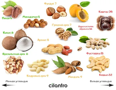 Орехи: польза и вред для организма человека, лечебные свойства,  противопоказания
