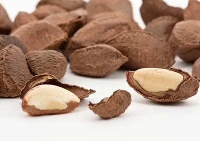 Какие орехи самые полезные для организма: 7 ореховых правил | Эксперты  объясняют от Роскачества