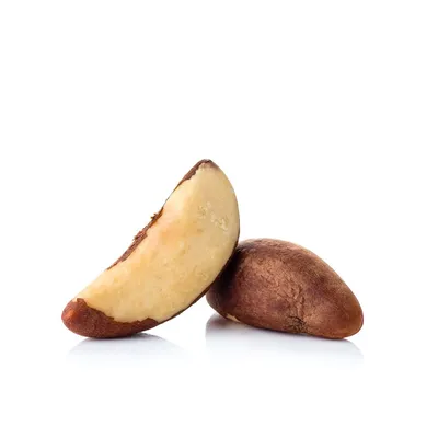 🌰 Купить бразильский орех в Москве: цена за 1 кг от 250 руб в  интернет-магазине Дикоед