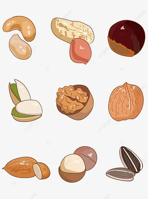 Орехи и сухофрукты: Витамины здоровья и энергии для вашего организма