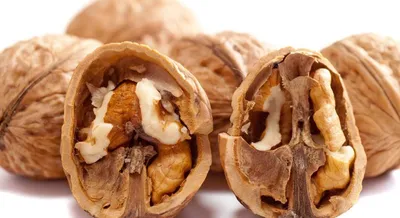 Подходят ли орехи и сухофрукты для вашей семьи? – Блог обжарщиков кофе  Torrefacto