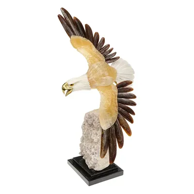 Степной орел сидит на камне на белом фоне Stock Photo | Adobe Stock
