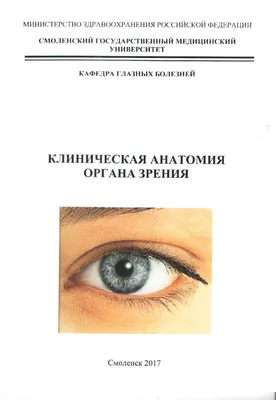 ПРОФЕССИОНАЛЬНЫЕ ПОРАЖЕНИЯ ОРГАНА ЗРЕНИЯ – тема научной статьи по  клинической медицине читайте бесплатно текст научно-исследовательской  работы в электронной библиотеке КиберЛенинка