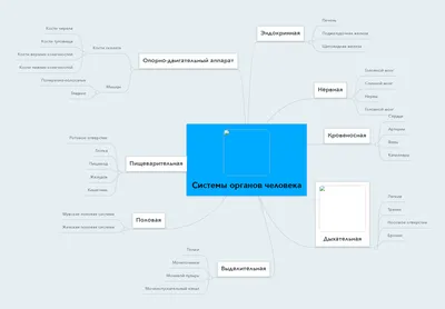 Дидактический плакат \"Тело человека\"