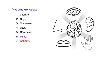 Органы чувств. Строение глаза. Близорукость и дальнозоркость –  онлайн-тренажер для подготовки к ЕНТ, итоговой аттестации и ВОУД