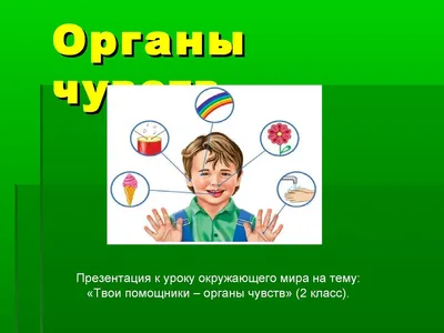 Аппликация органы чувств (50 фото) » Идеи поделок и аппликаций своими  руками - Папикпро.КОМ