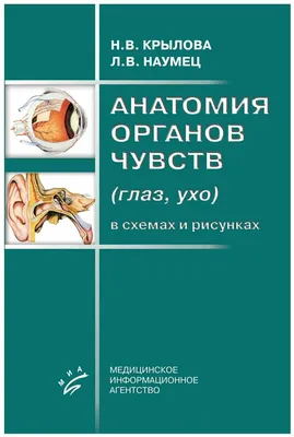 Наши помощники – органы чувств». 1-й класс