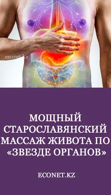 МРТ. Органы живота: руководство для врачей - купить с доставкой по выгодным  ценам в интернет-магазине OZON (515448293)