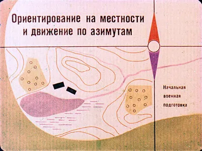 Ориентирование на местности реферат по географии | Сочинения Экология и  охрана окружающей среды | Docsity