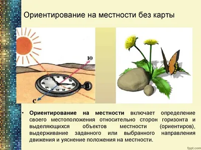 Ориентирование в туристском походе | Знания турклуба ВИБР