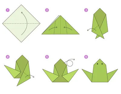 Frog origami scheme tutorial moving model. Origami for kids. Step by step  how to make a cute origami frog. Vector illustration. 11363652 Vector Art  at Vecteezy