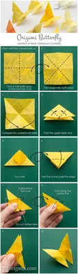 40 Best DIY Origami Projects To Keep You Entertained Today | Origami, Diy  origami, Origami butterfly