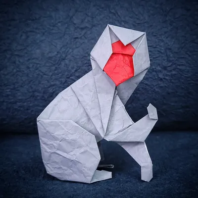 Origami – Origami Pulse CIC