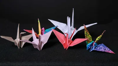 45 Best Easy Origami For Kids | Kids Activities Blog